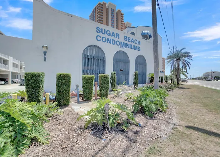 Apartment Sugar 355 By Collection