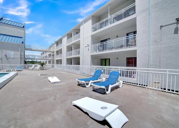 Apartment Sugar 355 By Collection