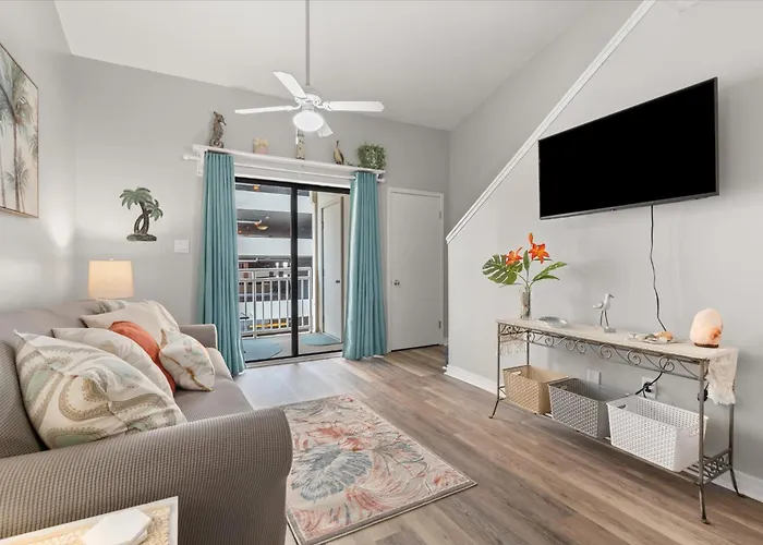 Apartment Sugar 355 By Collection *